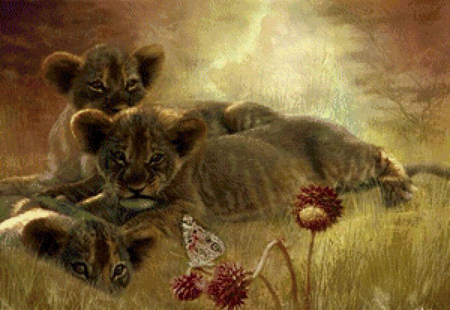 львята - предпросмотр