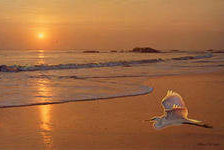 Схема вышивки «закат»