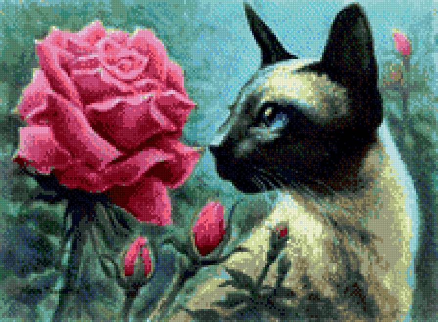 Кошка и роза - цветы, животные, кошки - предпросмотр