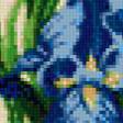 Предпросмотр схемы вышивки «ирисы» (№483570)
