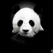 Схема вышивки «Панда»