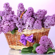 Схема вышивки «сирень в корзинке»