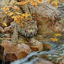 Схема вышивки «неожиданная встреча»