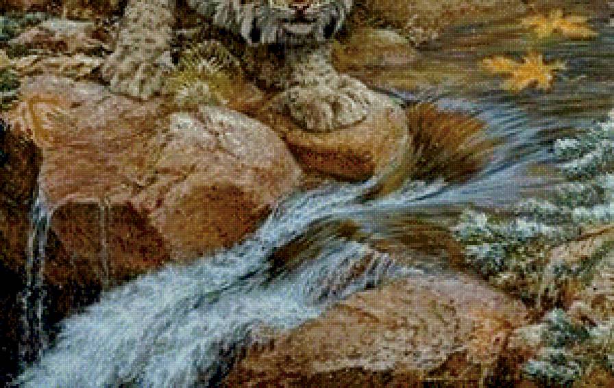 неожиданная встреча часть 2 - живопись, камень, вода, ручей, природа, листья, рысь, осень, хищник - предпросмотр