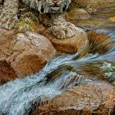 Схема вышивки «неожиданная встреча часть 2»