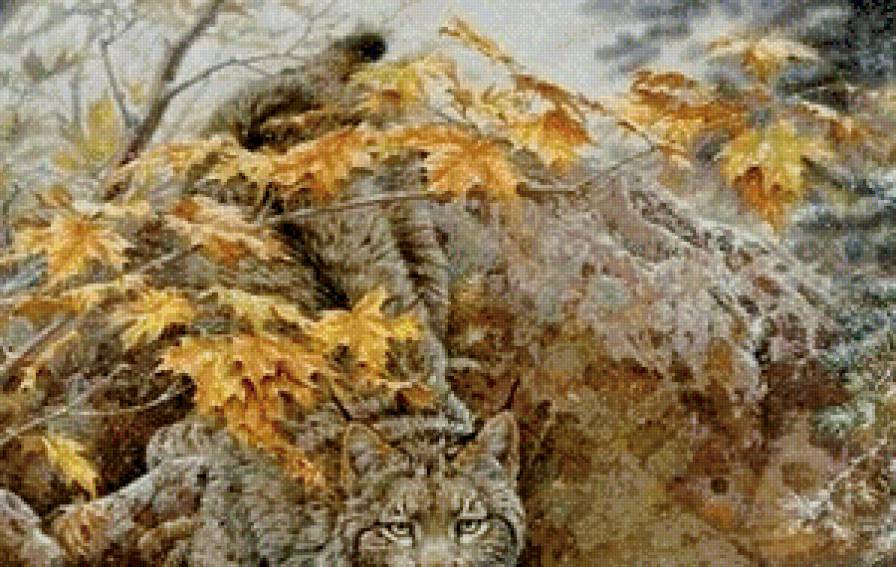 неожиданная встреча часть 1 - камень, рысь, листья, природа, ручей, живопись, вода, хищник, осень - предпросмотр