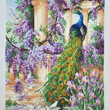 Схема вышивки «павлин»