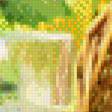 Предпросмотр схемы вышивки «натюрморт» (№484103)