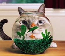 Схема вышивки «Наблюдатель»