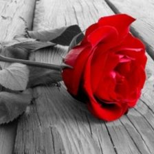 Схема вышивки «роза на полу»