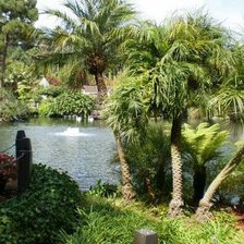 Схема вышивки «Парк»