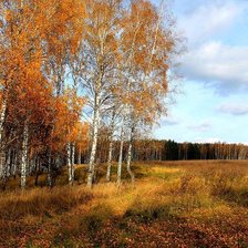 осеннее поле