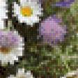 Предпросмотр схемы вышивки «натюрморт» (№484625)