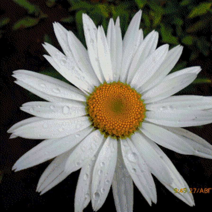 ромашка - подушки, цветы - предпросмотр