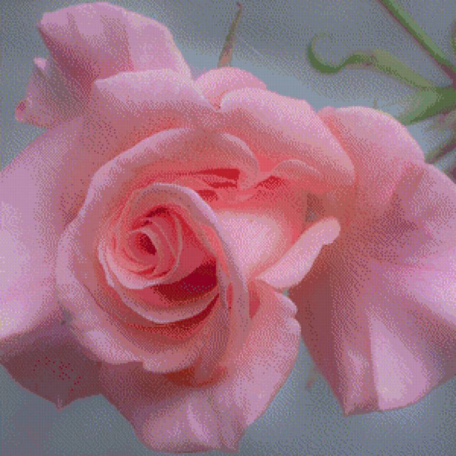 роза - розы, цветы, подушки - предпросмотр