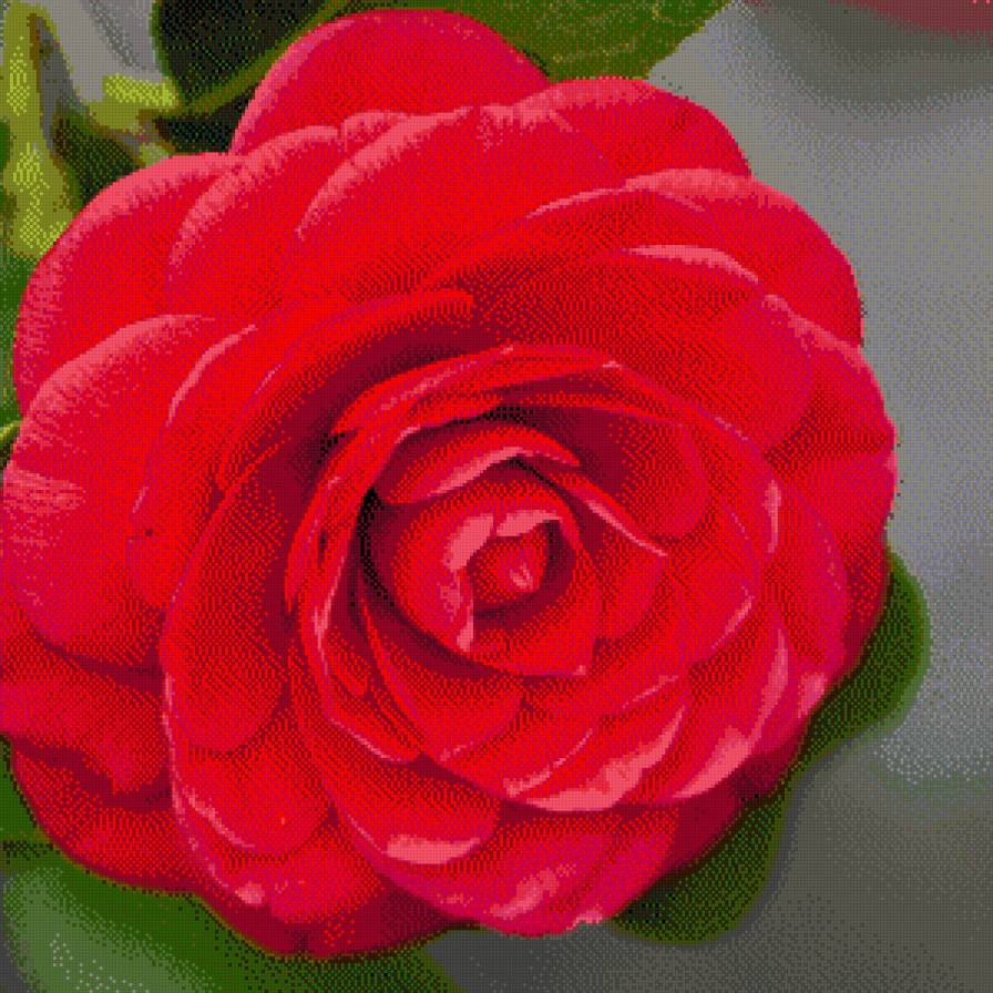 роза - розы, цветы, подушки - предпросмотр