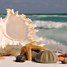 пейзаж,подушки