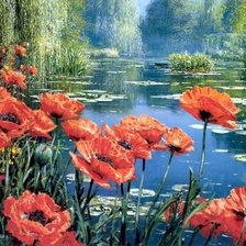 Схема вышивки «маки»