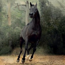 Схема вышивки «№484874»