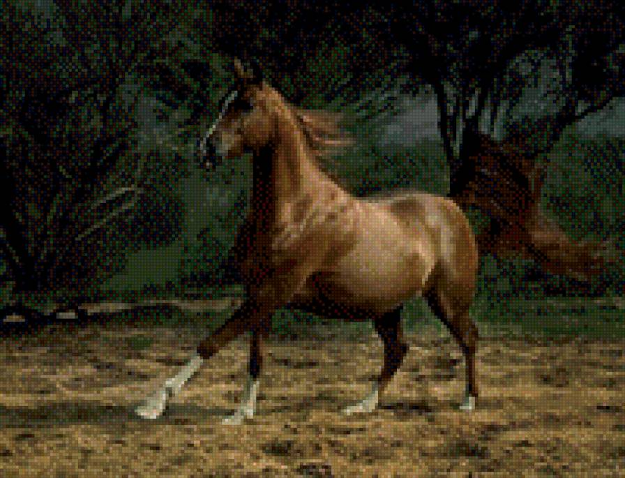 №484883 - предпросмотр