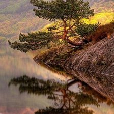 Схема вышивки «Отражение»