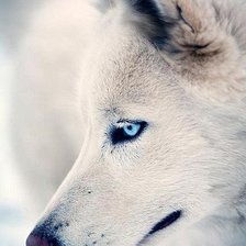 Схема вышивки «№485064»