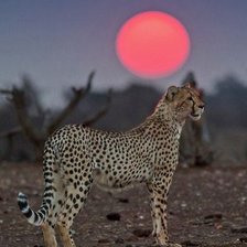 Схема вышивки «№485067»