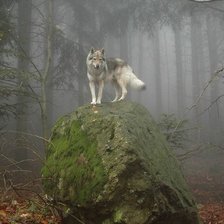 Схема вышивки «№485070»