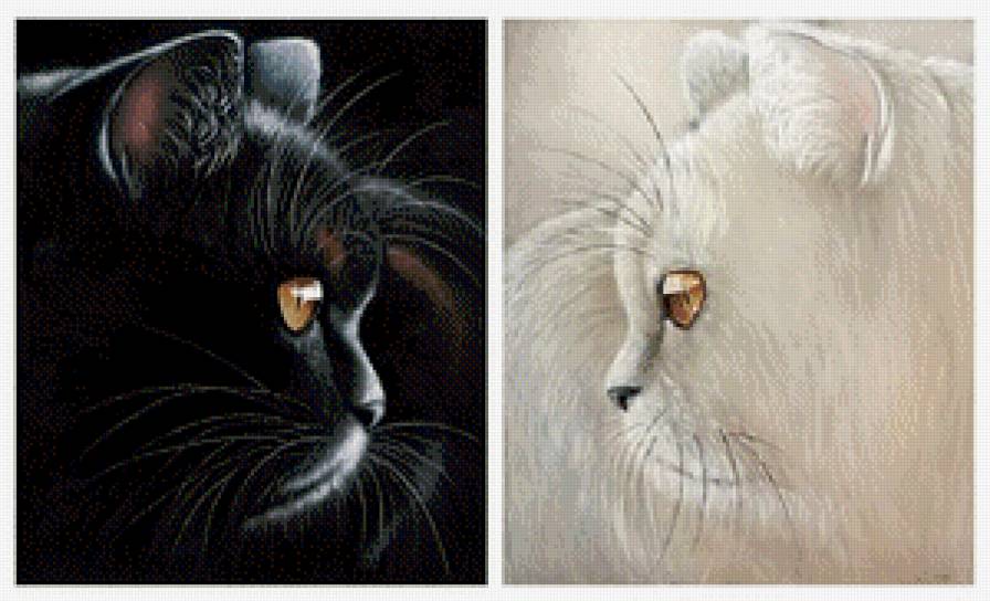 отелло и дездемона - диптих, белая кошка, домашние животные, кот, пара, кошка, черная кошка - предпросмотр