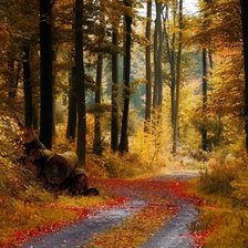 Схема вышивки «серия:краски осени»