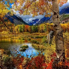 Схема вышивки «серия:краски осени»