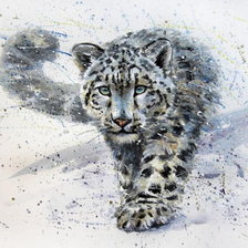 Схема вышивки «барс»