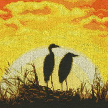 цапли на закате