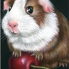 Схема вышивки «Хомячок»