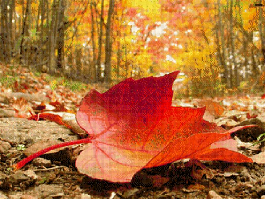 Осень - предпросмотр