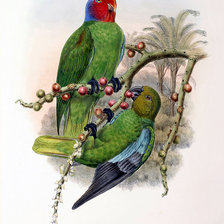 Схема вышивки «Серия "Птички-невелички"»