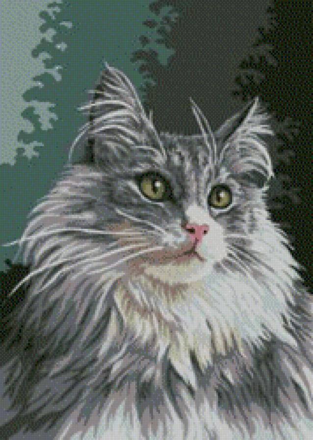 Кошечка - коты, монохром, животные - предпросмотр