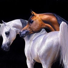 Схема вышивки «серия "кони"»