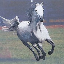 Схема вышивки «серия "кони"»