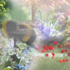 Схема вышивки «Иллюзия»