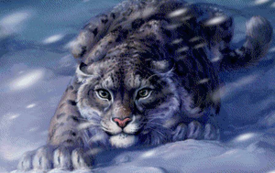 Снежный барс - дикая природа - предпросмотр