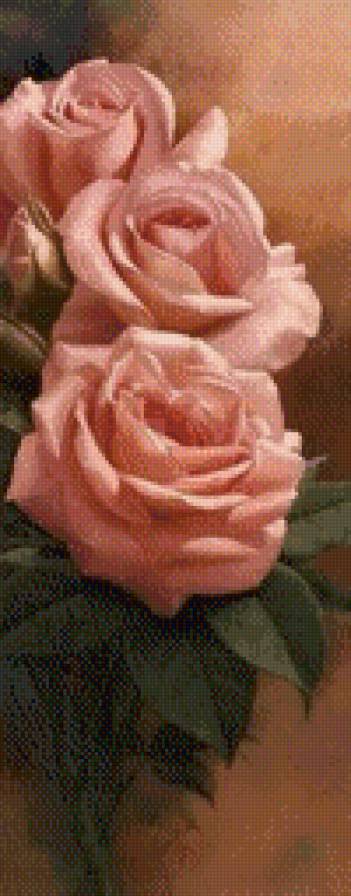 №486153 - природа, цветы, роза, растение - предпросмотр