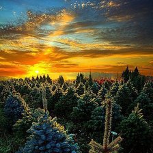 Схема вышивки «№486156»