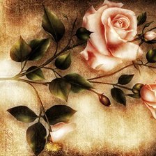 Схема вышивки «роза»