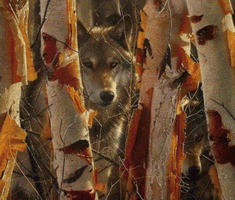 Волки - животные, волк - предпросмотр