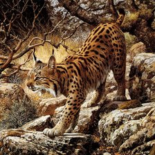 Схема вышивки «Рысь»