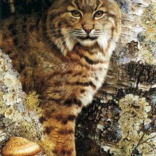 Схема вышивки «Рысь»