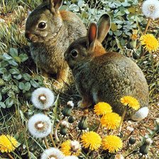 Схема вышивки «Зайчики»