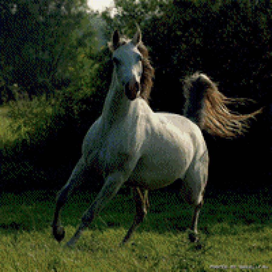 лошадка - предпросмотр