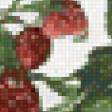 Предпросмотр схемы вышивки «клубника» (№486580)